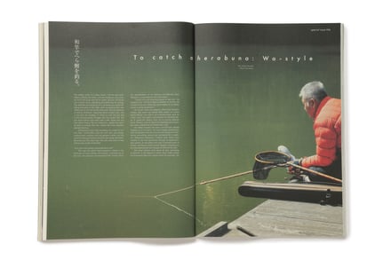 ヴィジュアル画像