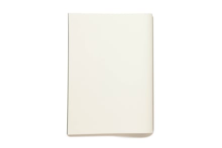 ヴィジュアル画像