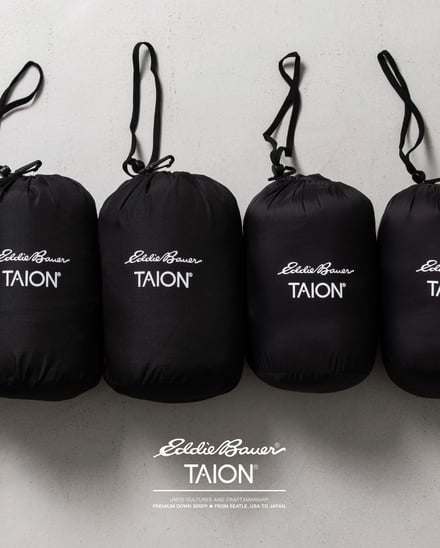 ヴィジュアル画像