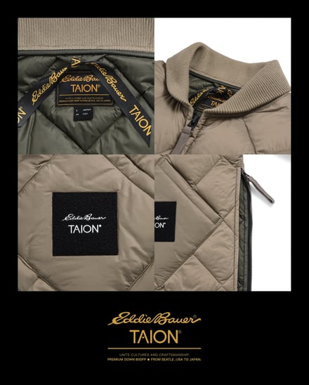 ヴィジュアル画像