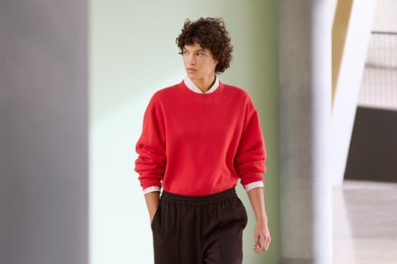 ヴィジュアル画像