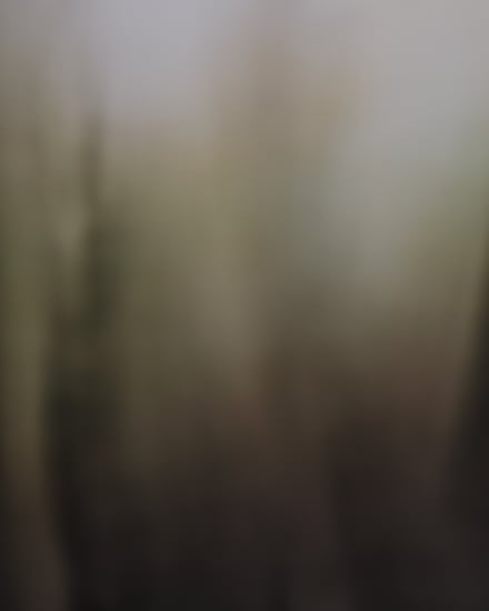 ヴィジュアル画像