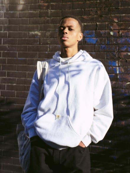 ヴィジュル画像