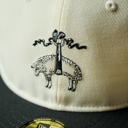 ヴィジュアル画像