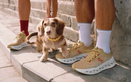 オンのランニングコレクションのヴィジュアル