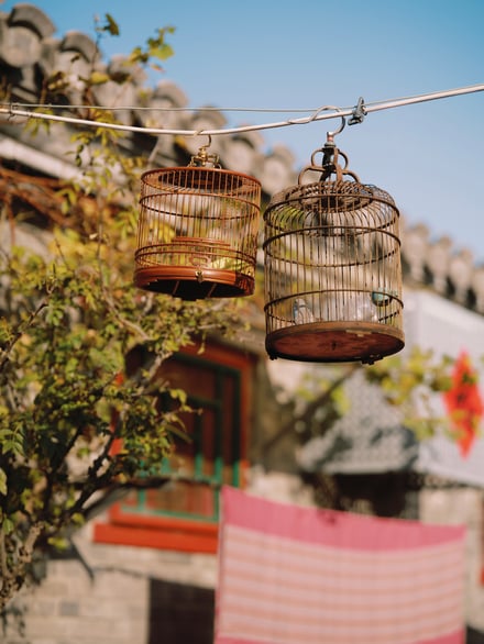 オンのランニングコレクションのヴィジュアル