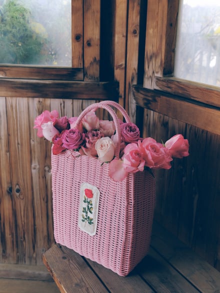 イメージビジュアル