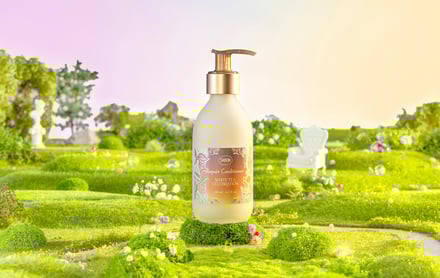 サボン ホワイトティー セレブレーションのアイテム画像