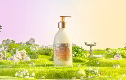 サボン ホワイトティー セレブレーションのアイテム画像