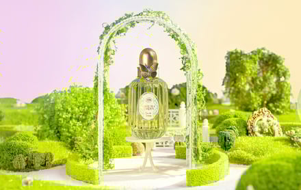 サボン ホワイトティー セレブレーションのアイテム画像