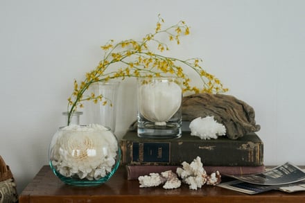 ソラフラワーのアイテム画像