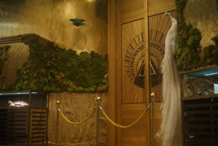 店舗外観の画像