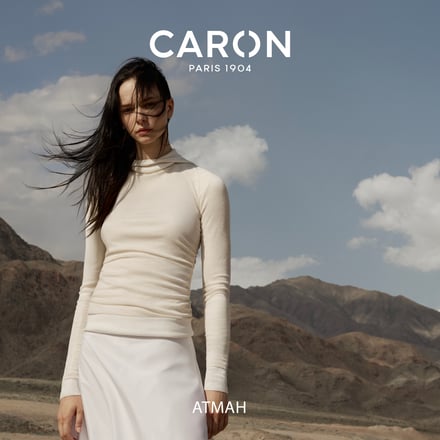 ATMAHモデルビジュアル画像