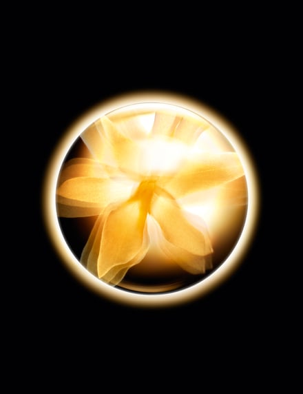 シャネル 新作クリームのアイテム画像