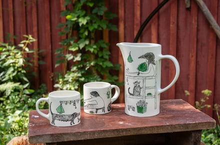 マグとピッチャー