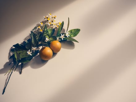 フローラノーティス ジルスチュアート アロマティックディフューザー