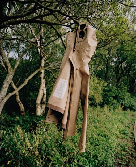 ヴィジュアル画像