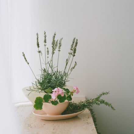 無印良品の春限定アイテム