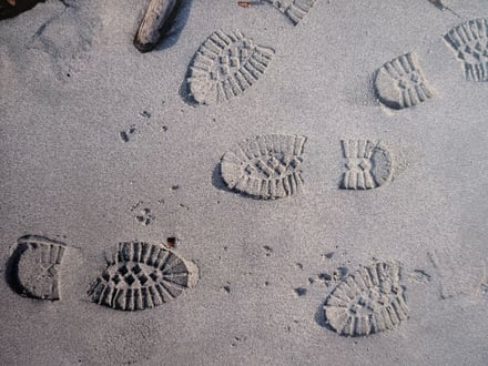 ヴィジュアル画像