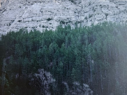 ヴィジュアル画像