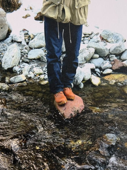 ヴィジュアル画像