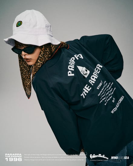 コラボレーションのヴィジュアル