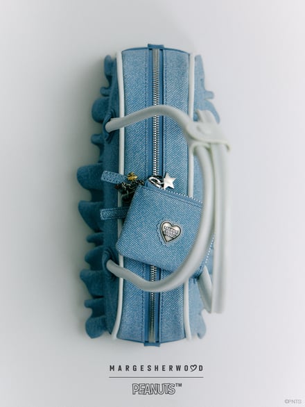 ヴィジュアル画像