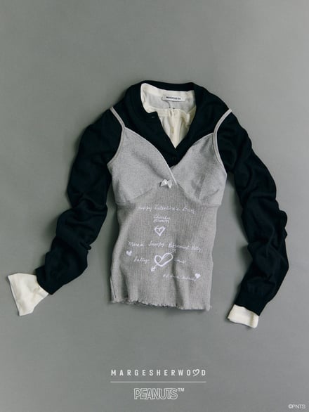 ヴィジュアル画像