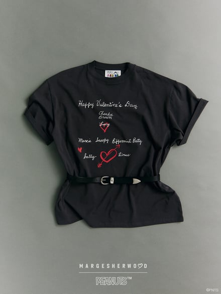 ヴィジュアル画像