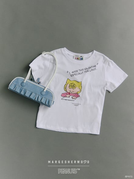 ヴィジュアル画像