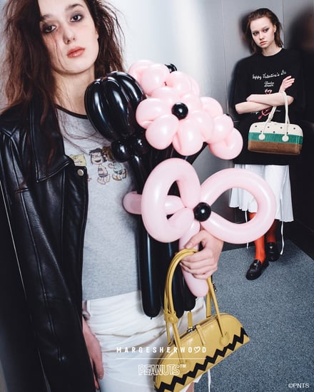 ヴィジュアル画像