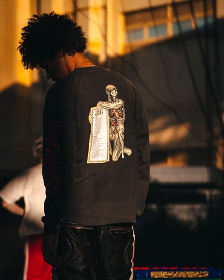 ヴィジュアル画像