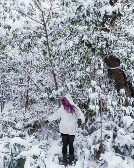 ヴィジュアル画像