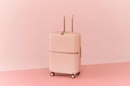Samsonite MINTER