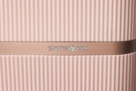 Samsonite MINTER