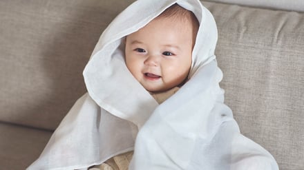 ヴィジュアル画像