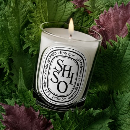 ディプティッククラシックキャンドルリニューアル