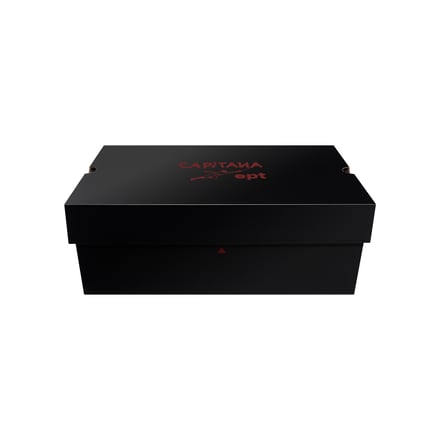 ヴィジュアル画像