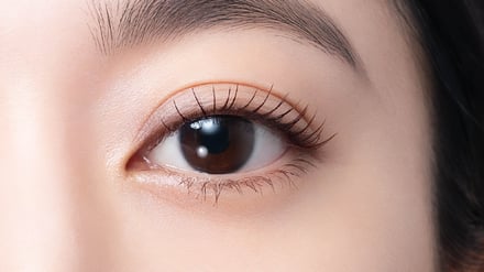 モテマスカラのブラウンブラック