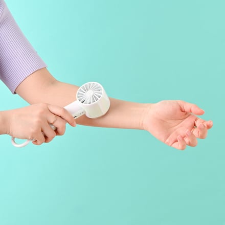 フレ アイスプレート ハンディファン