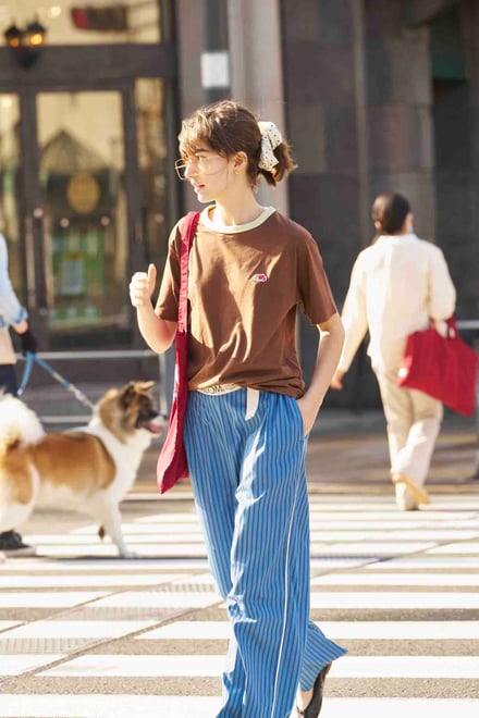 コラボのヴィジュアル