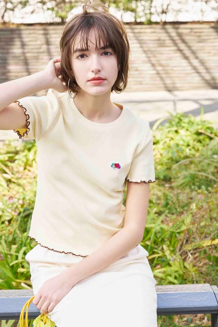 コラボのヴィジュアル