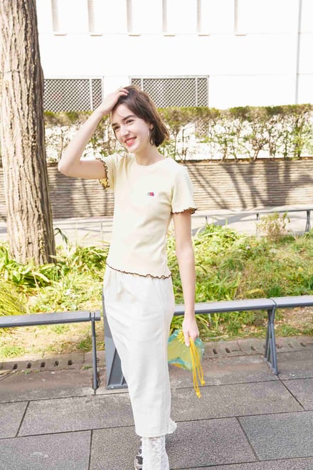 コラボのヴィジュアル