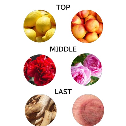 �ե�� �¥ե쥰��󥹡����ɥ�ӥ� ���`�ɥѥ�ե���