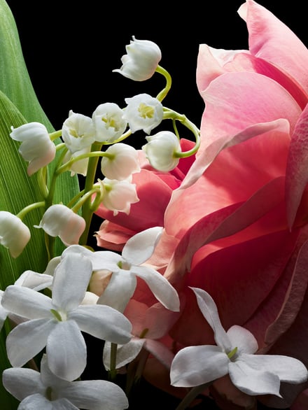 ゲラン エクセプショナルピース ミュゲ オーデトワレの画像