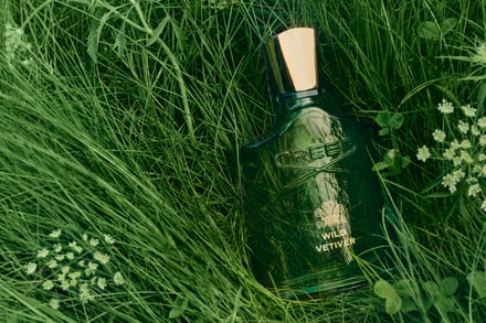 ワイルドベチバーオーデパルファムイメージビジュアル