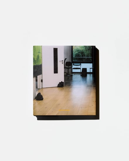 ヴィジュアル画像