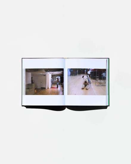 ヴィジュアル画像