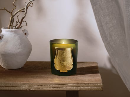 NOSE SHOPトゥルドン取り扱い開始