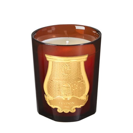 NOSE SHOPトゥルドン取り扱い開始